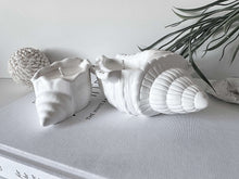 Load image into Gallery viewer, Montego Shell Candle