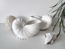 Load image into Gallery viewer, Ceramic Sisley Sea Shell