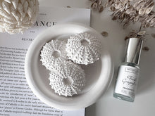 Load image into Gallery viewer, Sea Urchin Diffuser Set