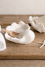 Load image into Gallery viewer, Fabré Ceramic Conch Display Dish