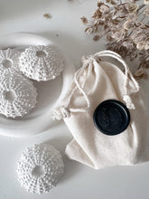 Load image into Gallery viewer, Sea Urchin Diffuser Set
