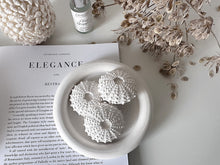 Load image into Gallery viewer, Sea Urchin Diffuser Set