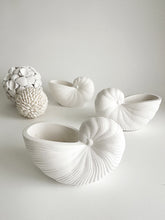 Load image into Gallery viewer, Ceramic Sisley Sea Shell