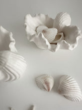 Load image into Gallery viewer, Fabré Ceramic Conch Display Dish