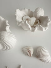 Load image into Gallery viewer, Fabré Ceramic Conch Display Dish