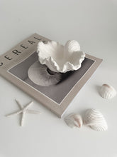 Load image into Gallery viewer, Fabré Ceramic Conch Display Dish