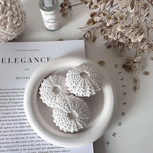 Load image into Gallery viewer, Sea Urchin Diffuser Set