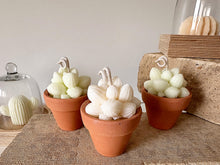 Load image into Gallery viewer, Pascale Potted Succulent Candle Set
