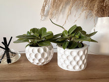 Load image into Gallery viewer, Vienna Bobble Planter &amp; Candle Range
