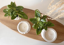 Load image into Gallery viewer, Vienna Bobble Planter &amp; Candle Range
