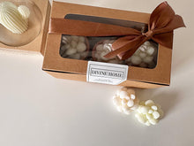 Load image into Gallery viewer, Pascale Potted Succulent Candle Set
