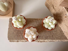 Load image into Gallery viewer, Pascale Potted Succulent Candle Set
