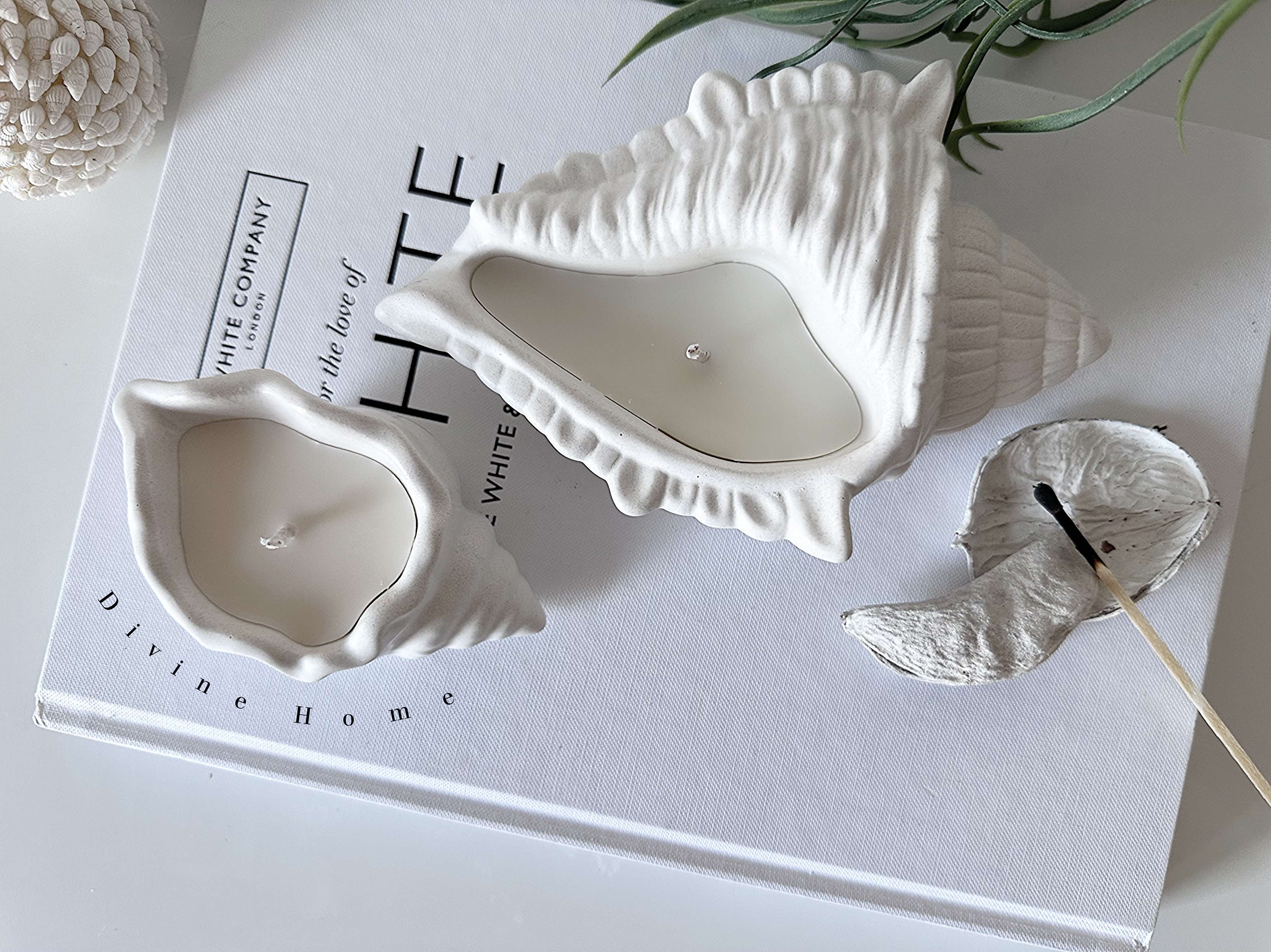 Montego Shell Candle – Divine Giftware Ltd