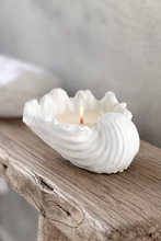 Load image into Gallery viewer, Fabré Ceramic Conch Shell Soy Wax Candle
