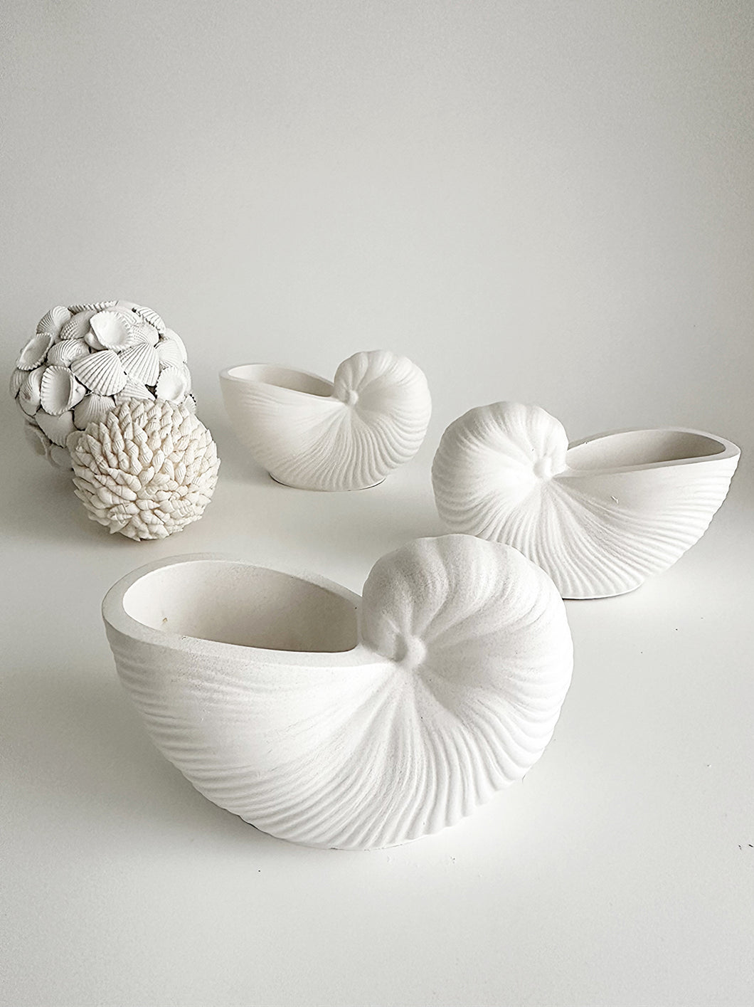 Ceramic Sisley Sea Shell