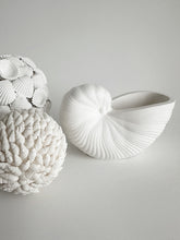 Load image into Gallery viewer, Ceramic Sisley Sea Shell
