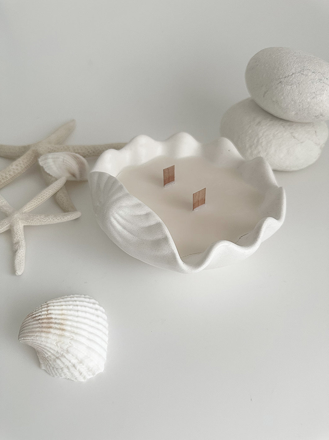 Scallop Sea Shell Candle