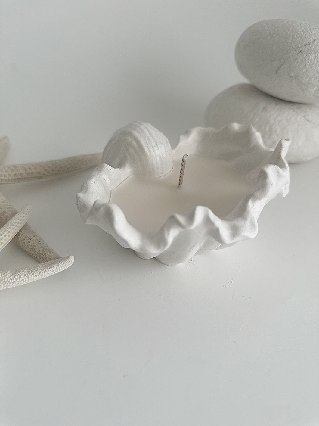 Fabré Ceramic Conch Shell Soy Wax Candle