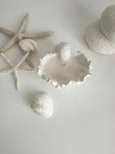Load image into Gallery viewer, Fabré Ceramic Conch Shell Soy Wax Candle
