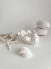 Load image into Gallery viewer, Fabré Ceramic Conch Shell Soy Wax Candle
