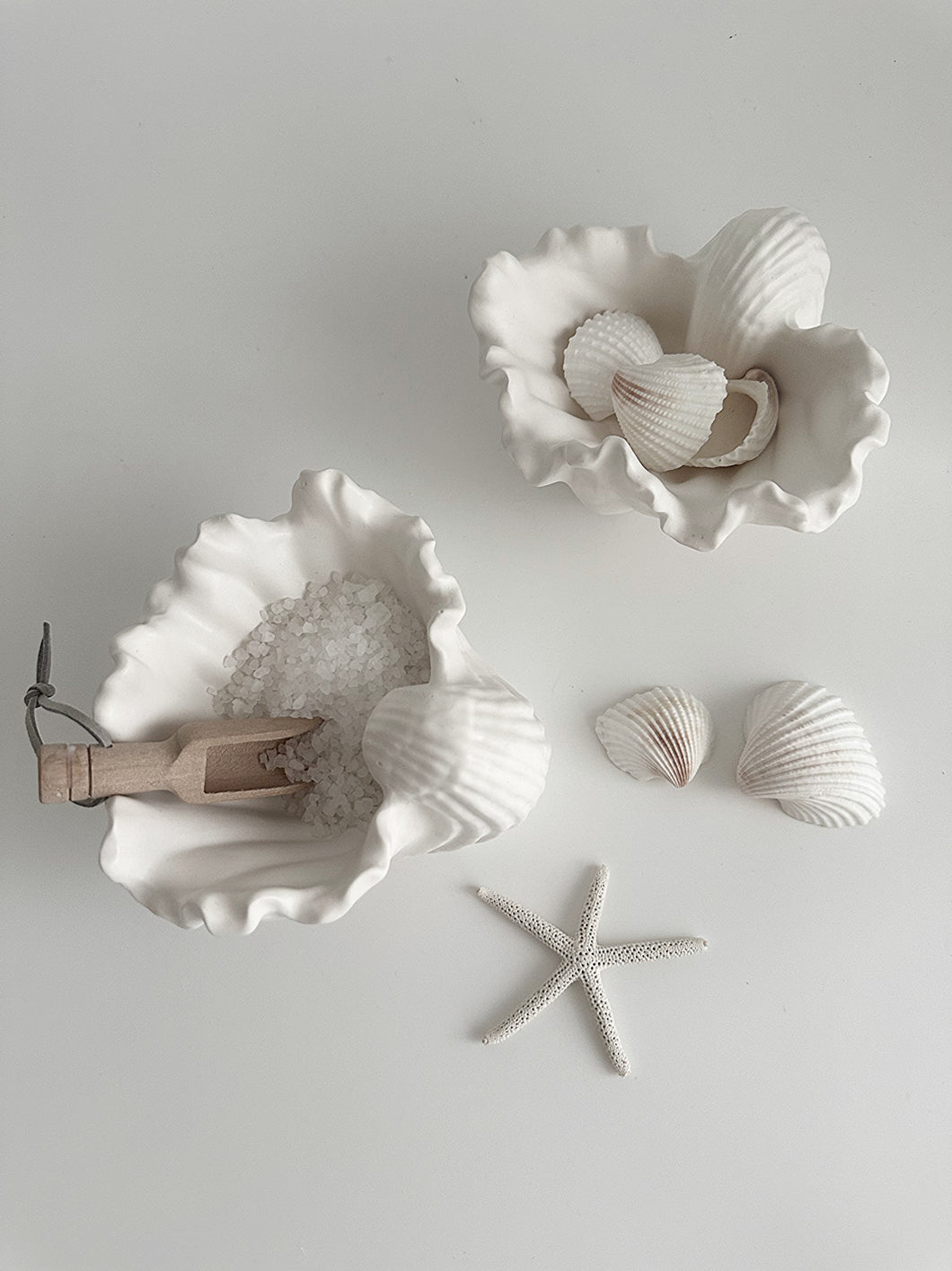 Fabré Ceramic Conch Display Dish