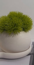 Load image into Gallery viewer, Artificial Plant, Tray &amp; Candle Set
