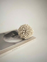 Load image into Gallery viewer, Natura  Sphere
